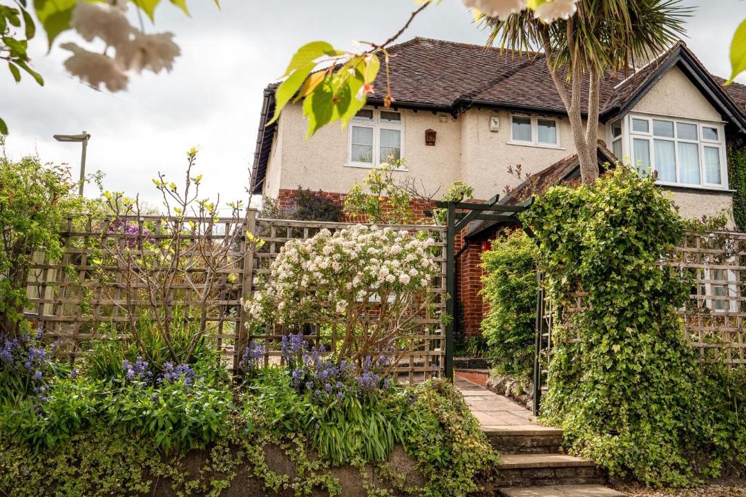 Photo of Buildings in New Forest District
