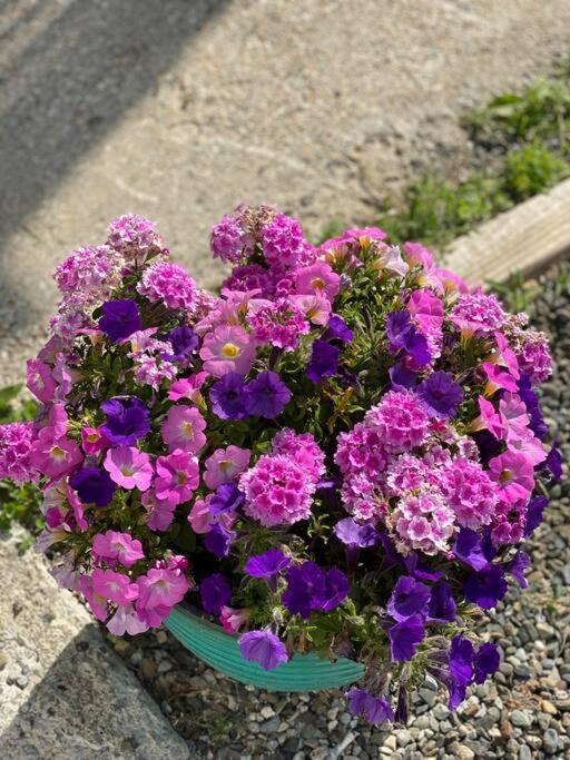 Photo of Others in Leeds