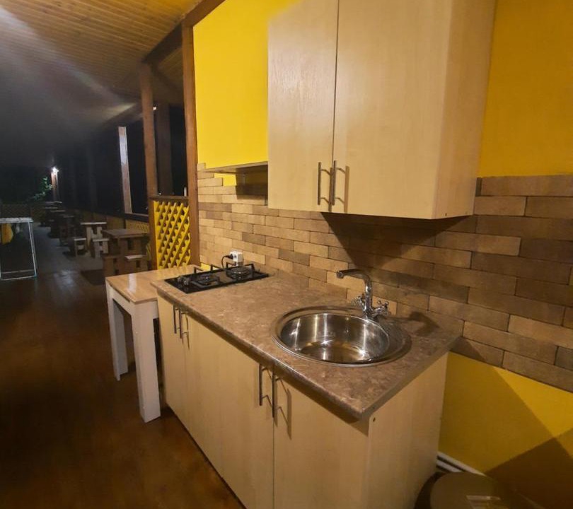 Photo of Kitchen in Shepsinskoe