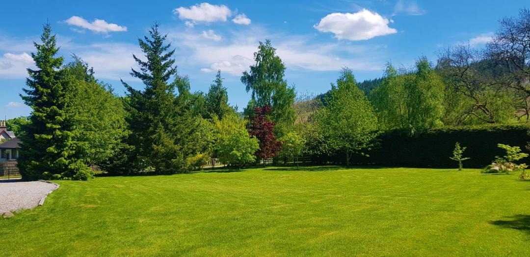 Photo of Others in Lewiston