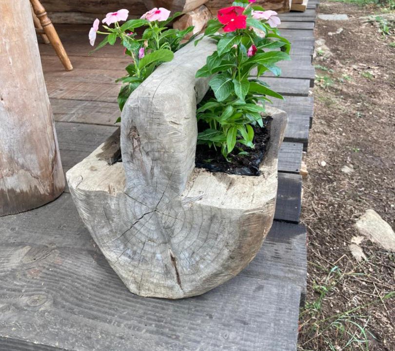 Photo of Others in Peaugres