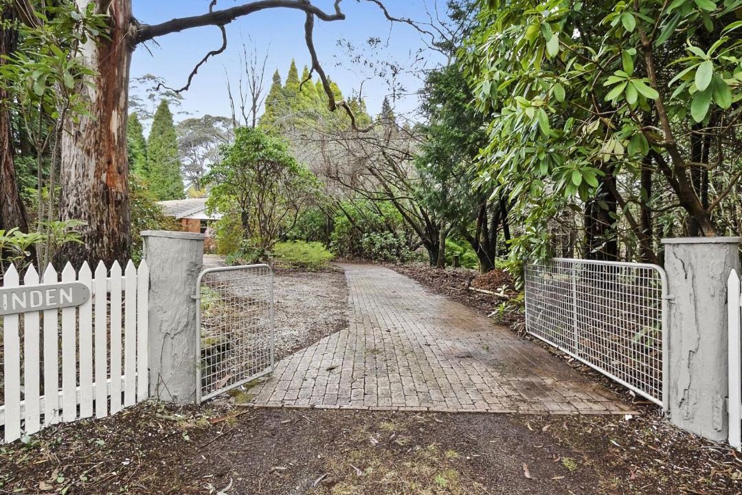 Photo of Others in Mount Wilson