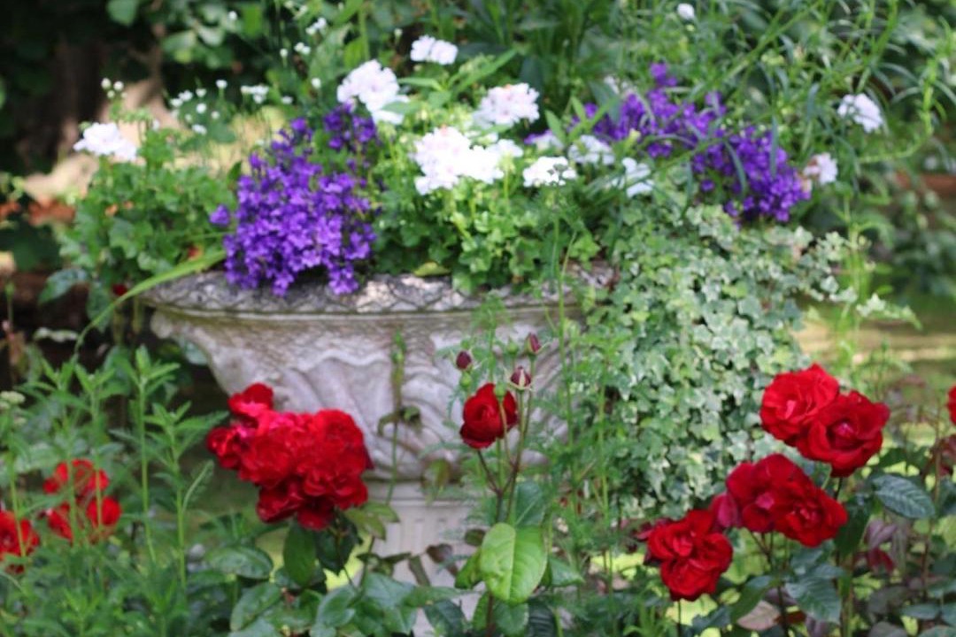 Photo of Others in Landerneau