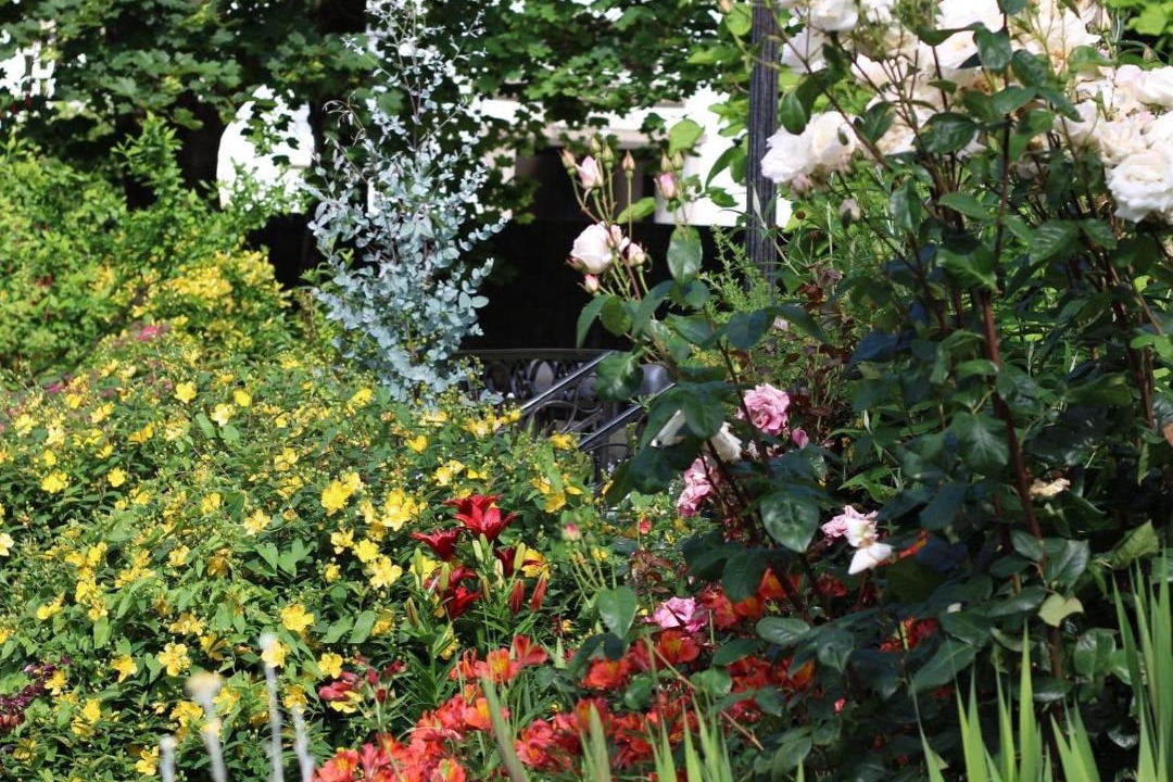 Photo of Others in Landerneau