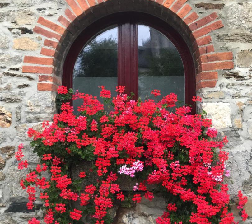 Photo of Others in Landerneau