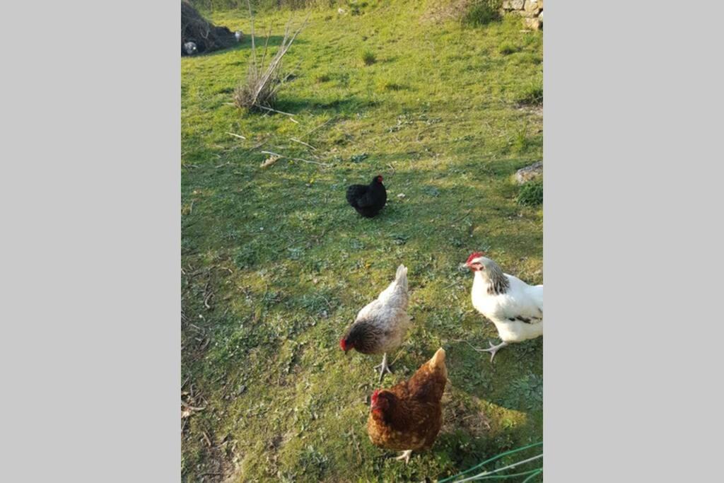 Photo of Outdoor in Cesny-Bois-Halbout