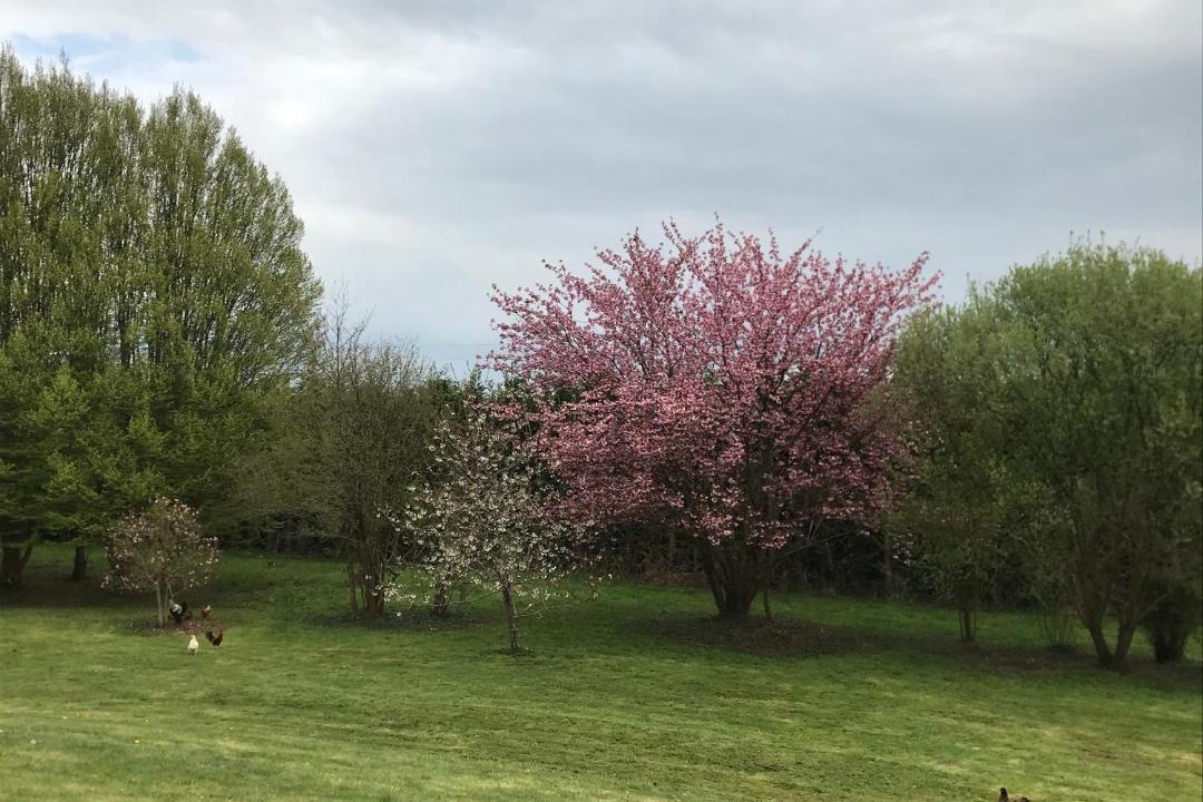 Photo of Outdoor in Chateau-Gontier