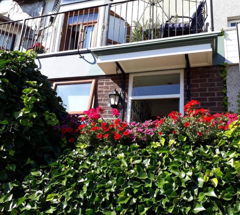 Photo of Others in North Shore