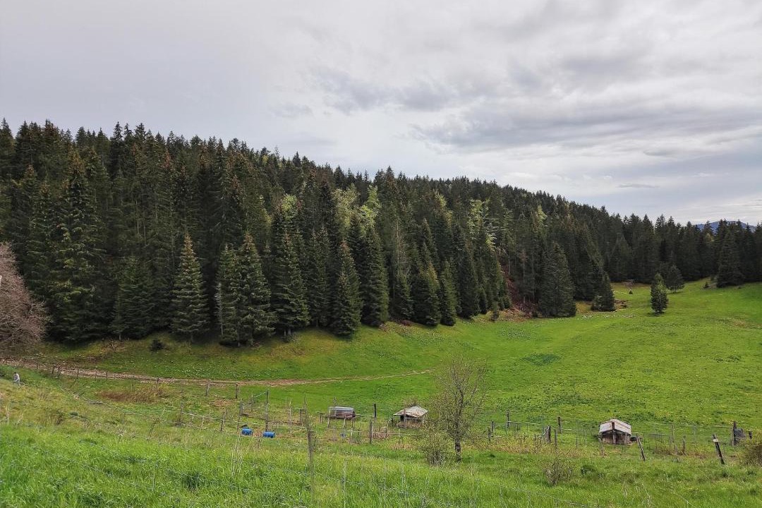 Photo of Others in Les Moussieres