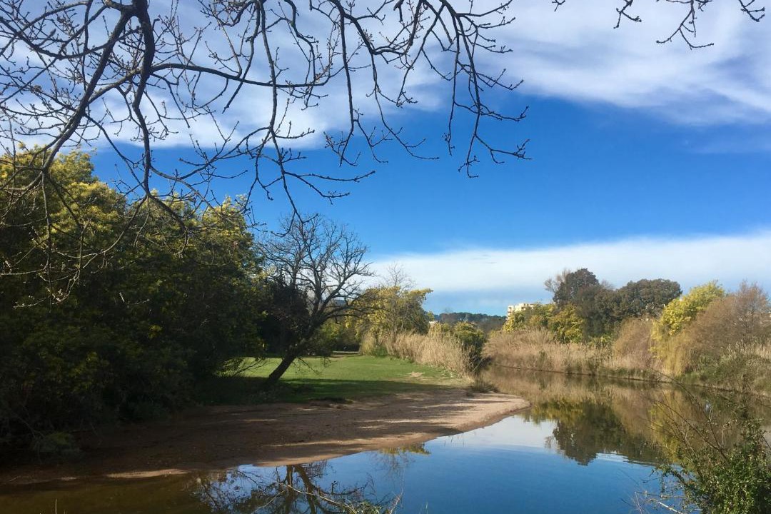 Photo of Others in Mandelieu-la-Napoule Beach