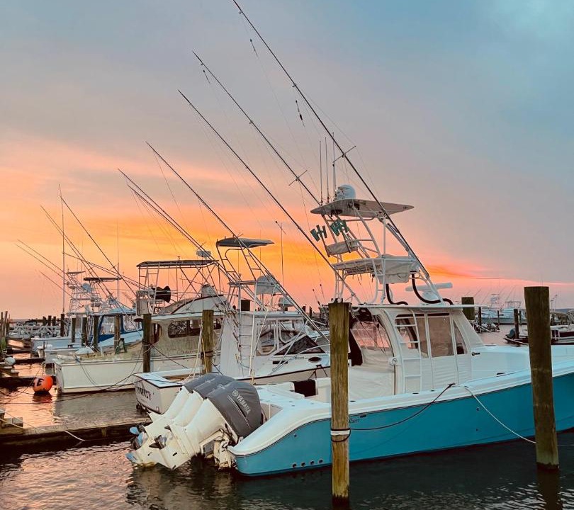 Photo of Others in Chincoteague