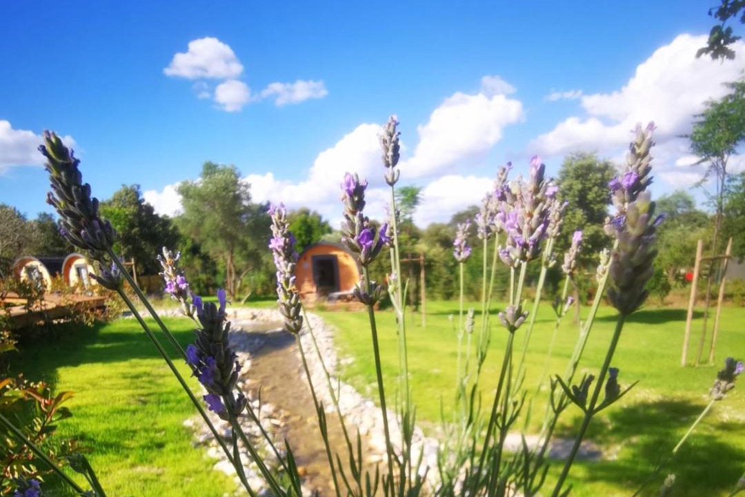 Photo of Others in Sommieres