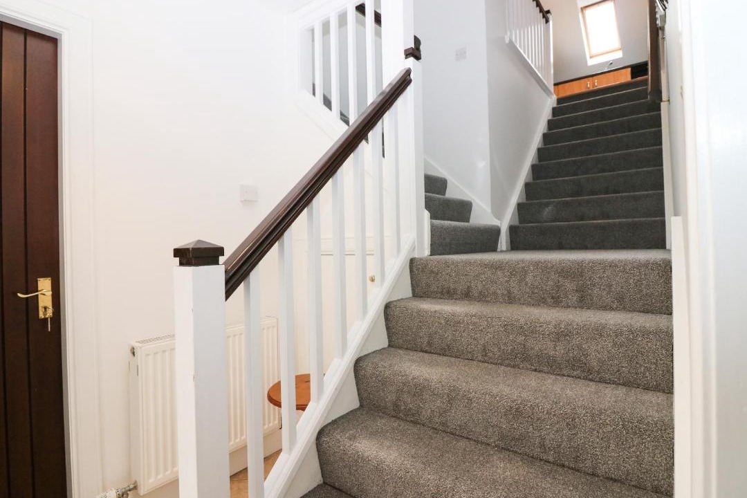 Photo of Others in Old Deer