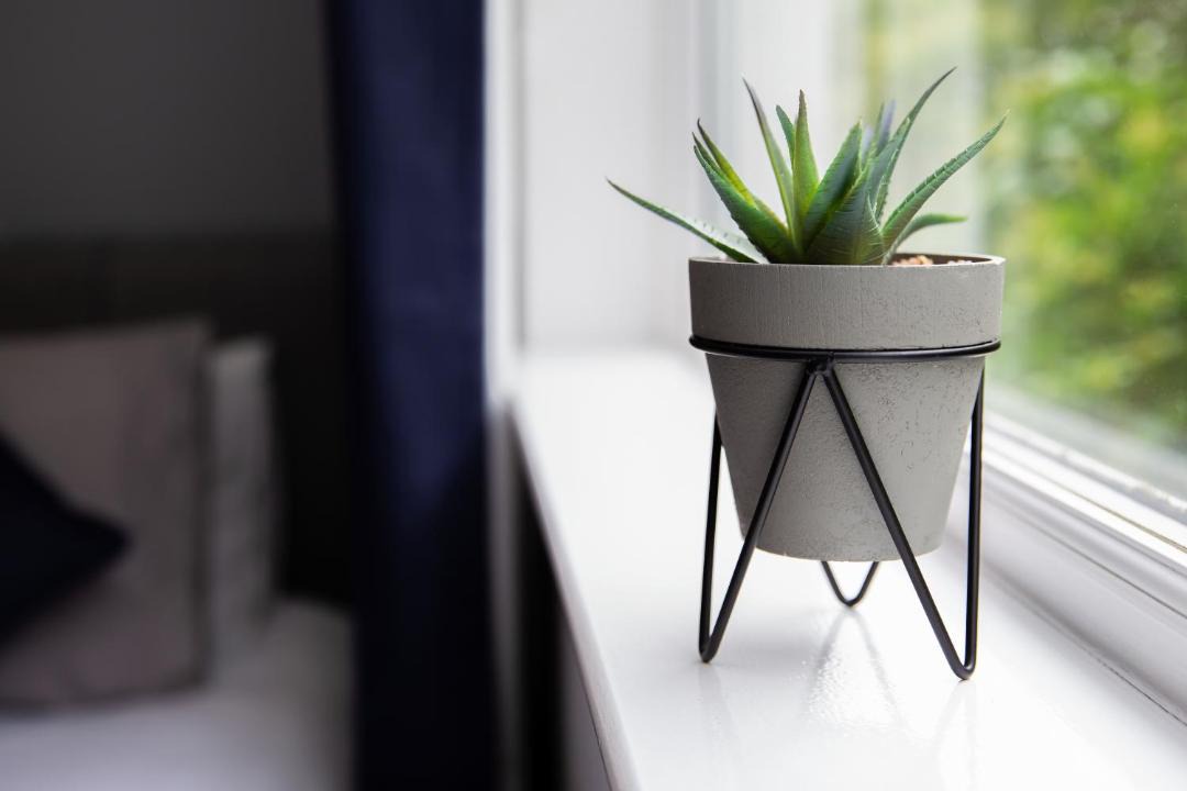 Photo of Others in Irvine