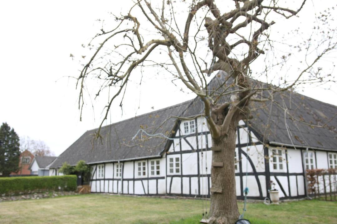 Photo of Others in Naesby