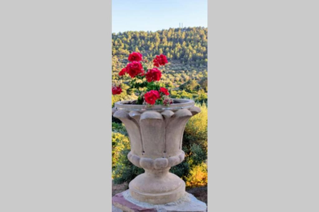 Photo of Patio Balcony in Matet