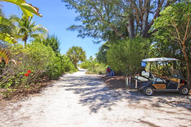 Photo of Others in Tradewinds