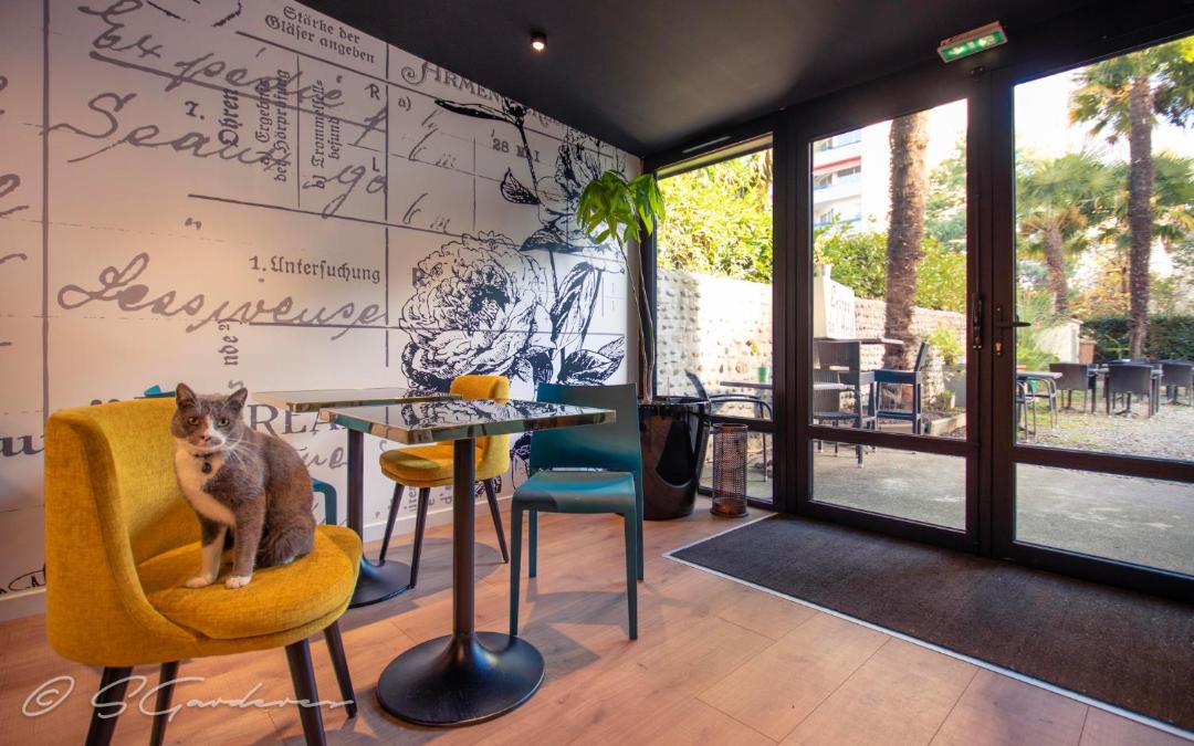 Photo of Others in Pau Nord