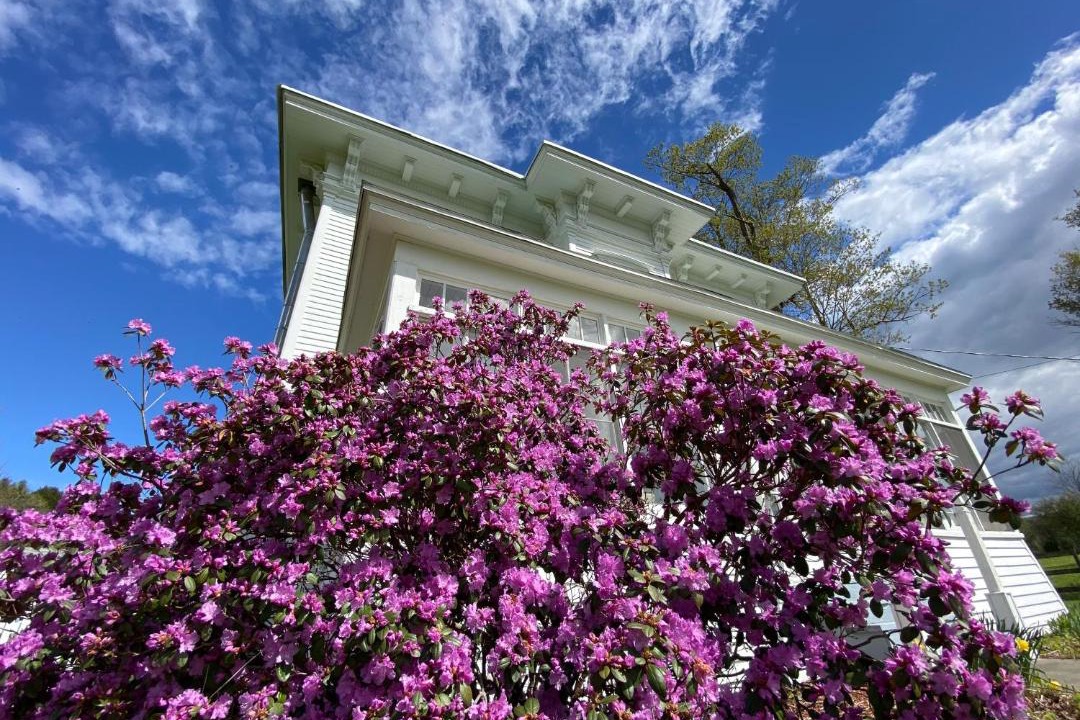 Photo of Others in Mount Vision