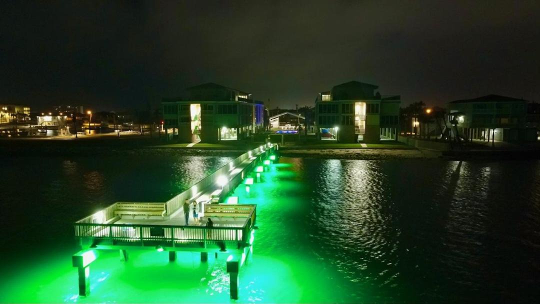 Photo of Others in Port Aransas