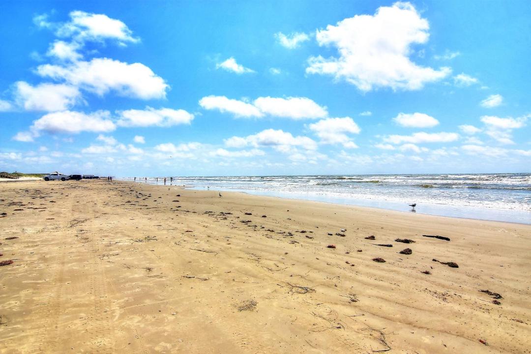 Photo of Others in Port Aransas