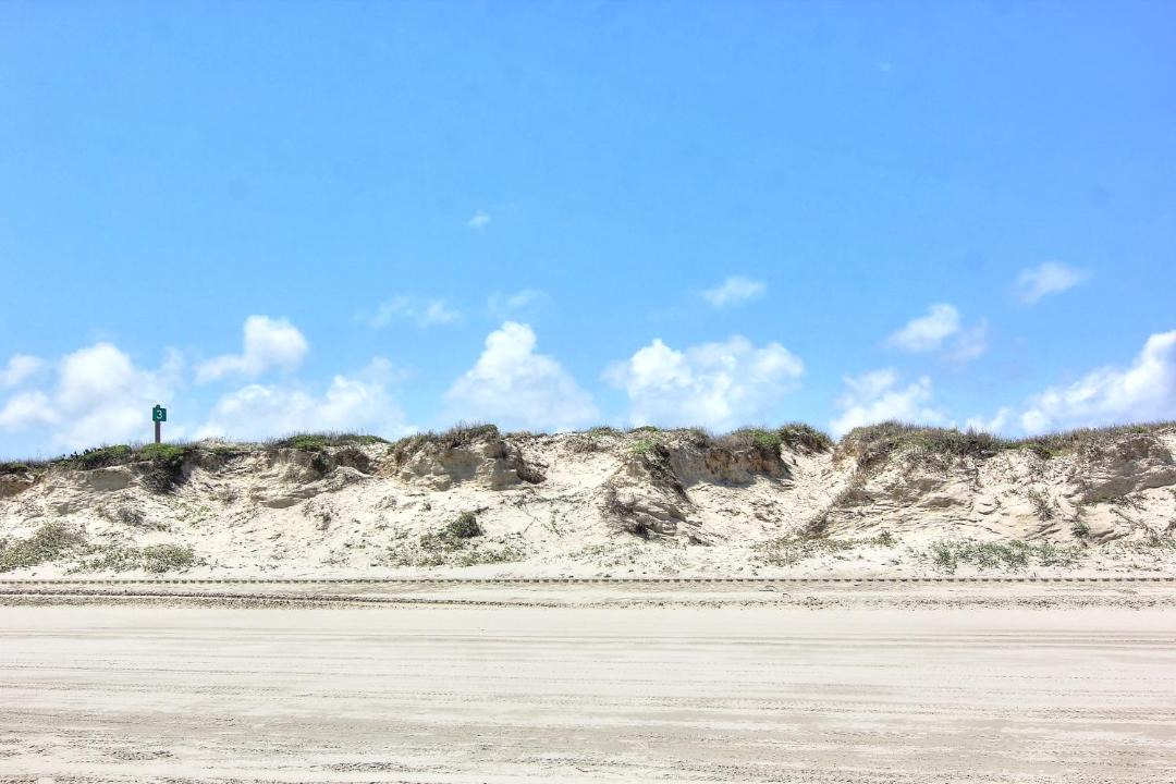 Photo of Others in Port Aransas