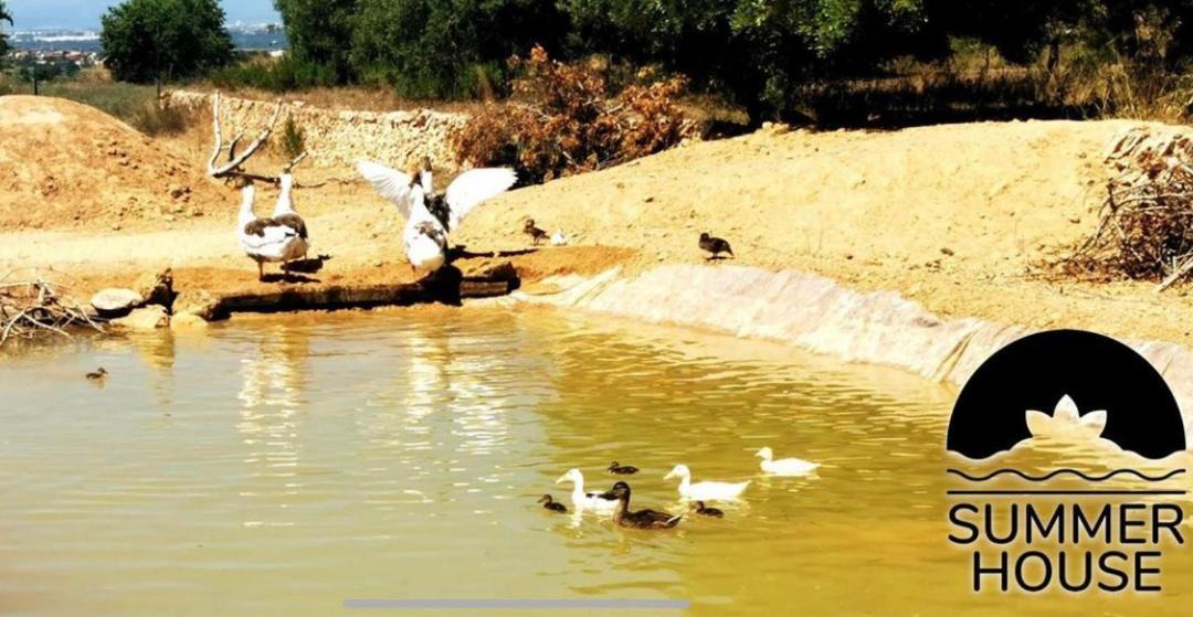 Photo of Others in El Catllar