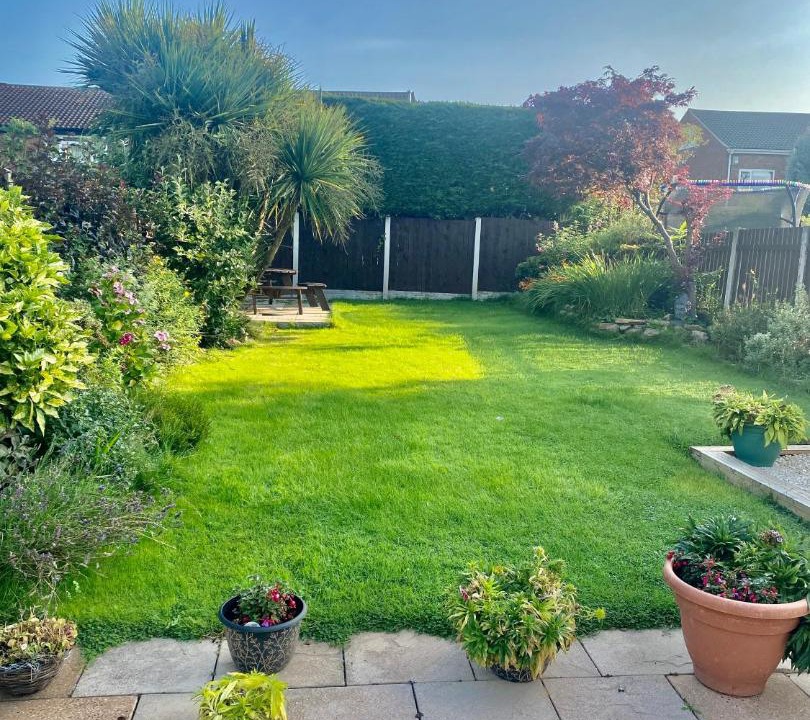 Photo of Others in Chapeltown