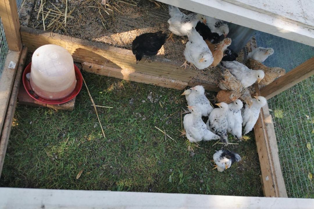 Photo of Others in Concevreux