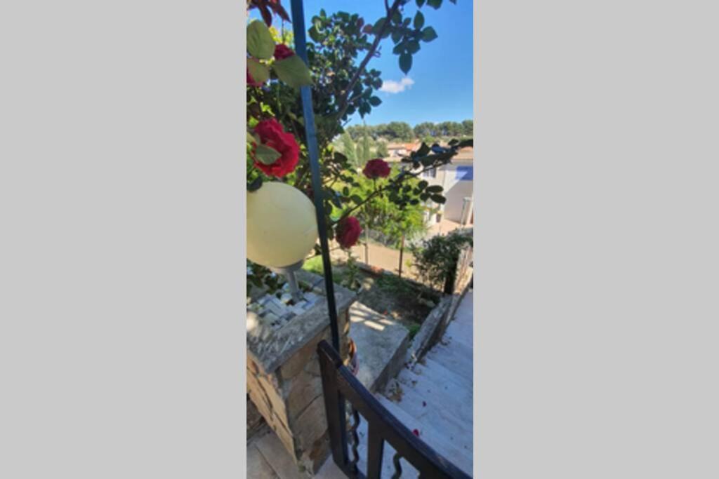 Photo of Patio Balcony in 13th Arrondissement