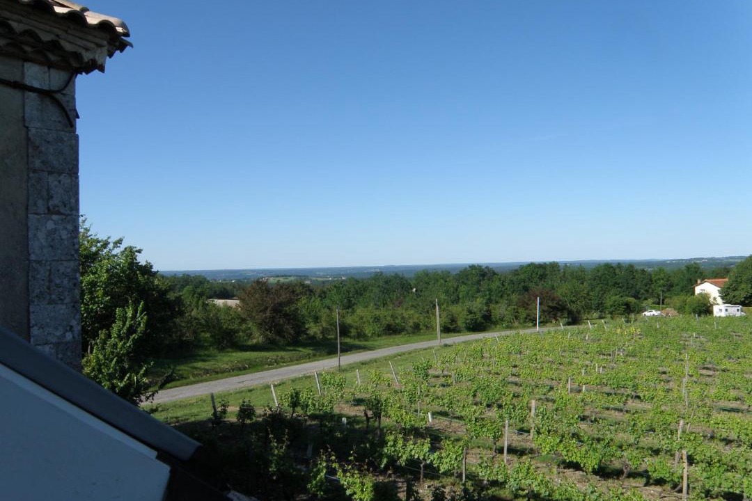 Photo of Others in Colombier