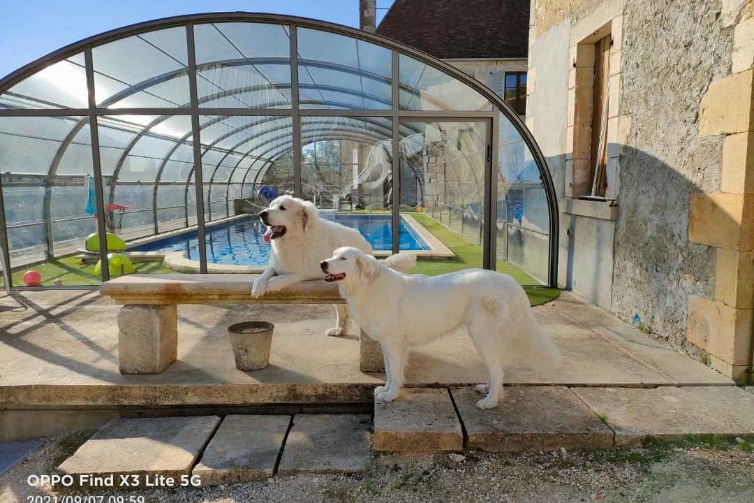 Photo of Others in Les Aix-d'Angillon