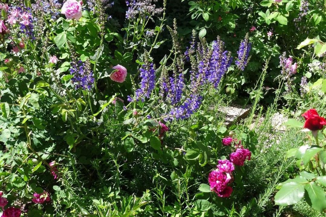 Photo of Outdoor in Trampot