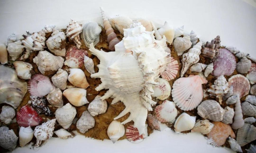 Photo of Others in Loo