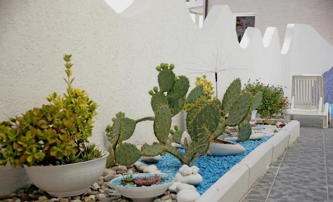 Photo of Others in Loo