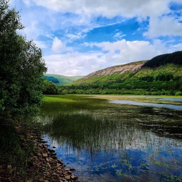 Photo of Others in Merthyr Vale