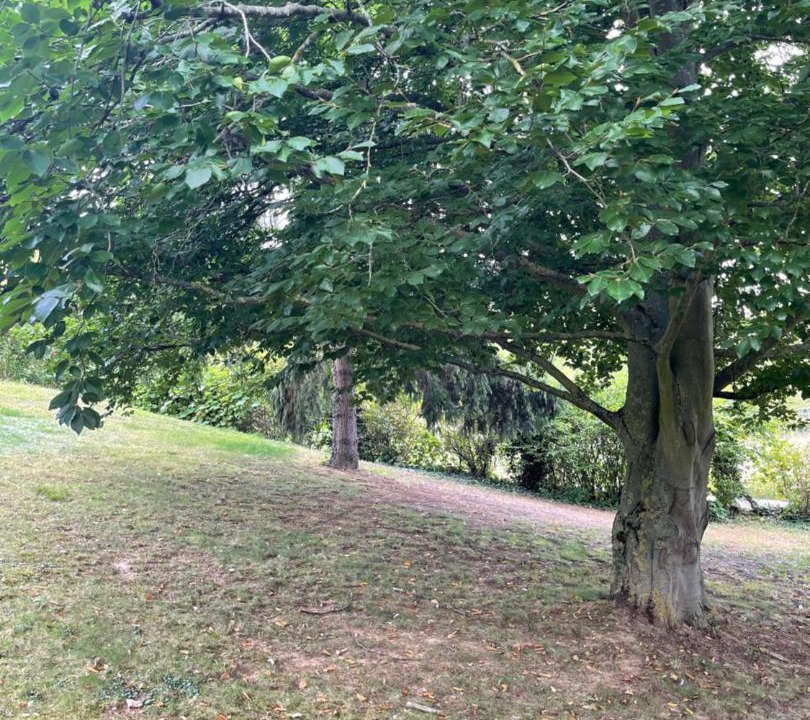 Photo of Others in Freneuse