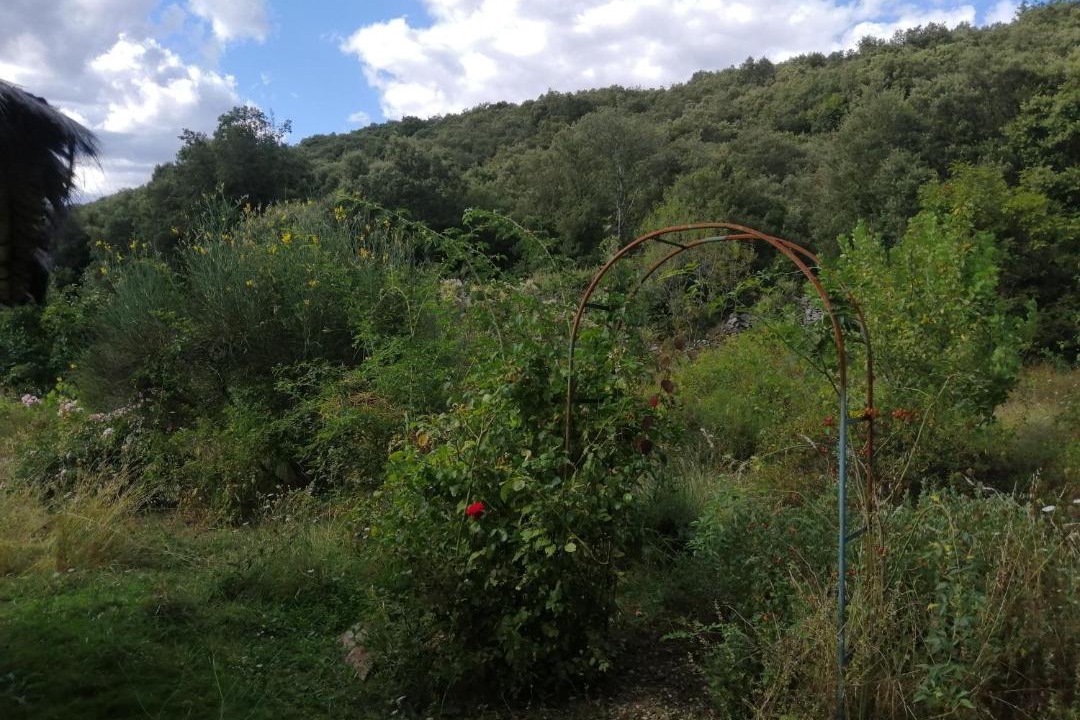 Photo of Outdoor in Banne