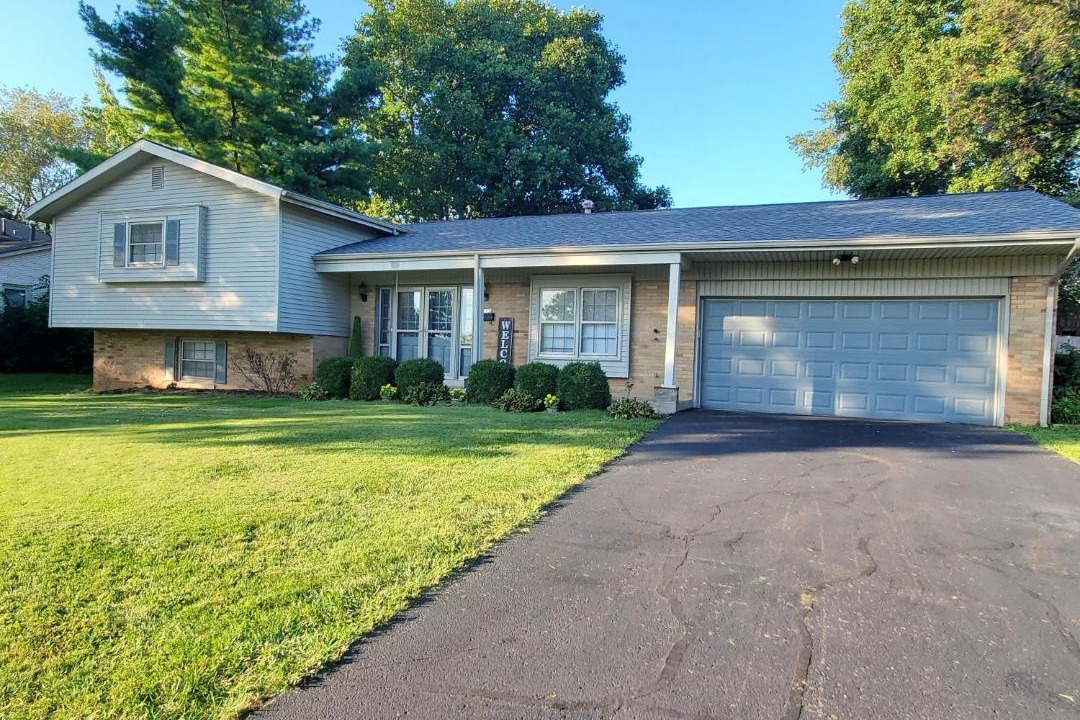 Photo of Others in Open Gates