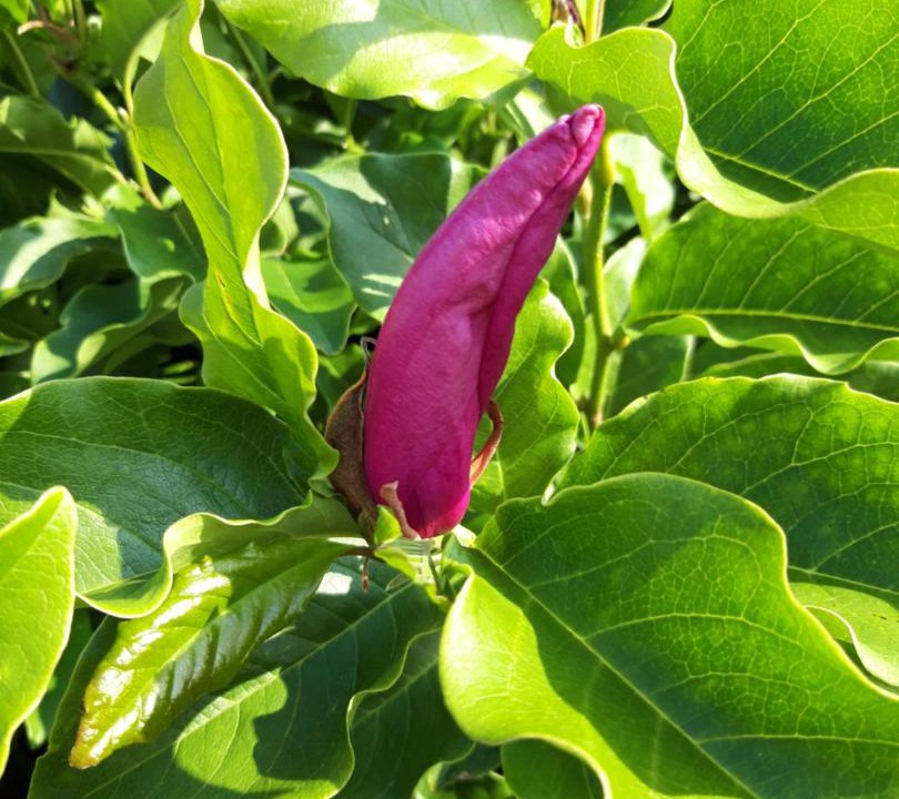 Photo of Outdoor in Sommervieu