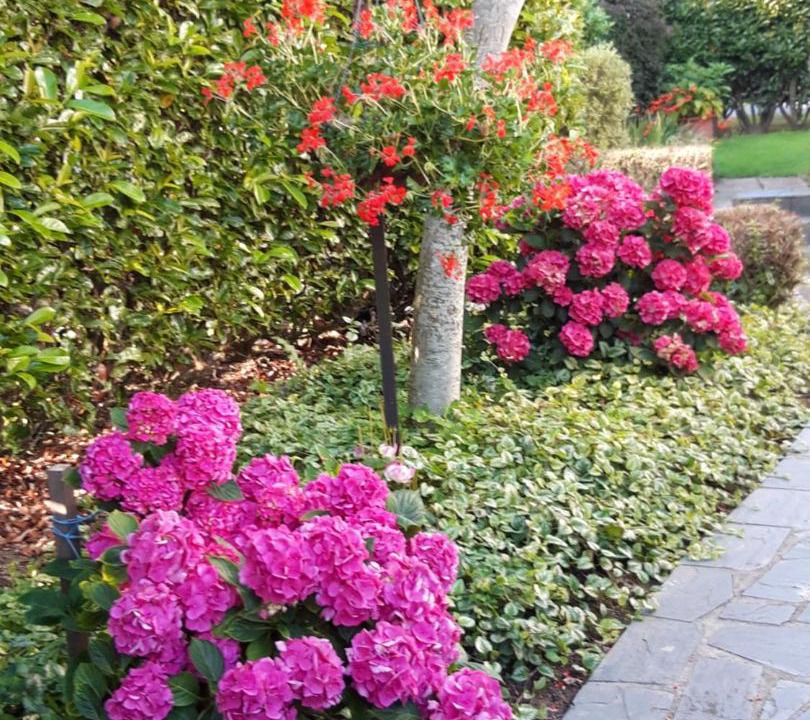 Photo of Outdoor in Sommervieu