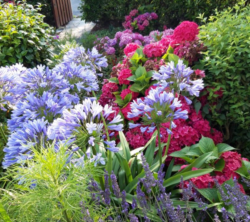 Photo of Outdoor in Sommervieu