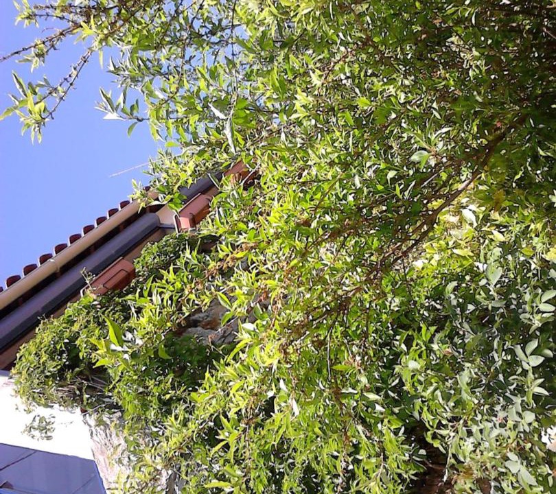 Photo of Others in L'Hospitalet-du-Larzac