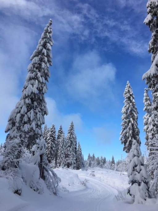 Photo of Others in Drumettaz-Clarafond