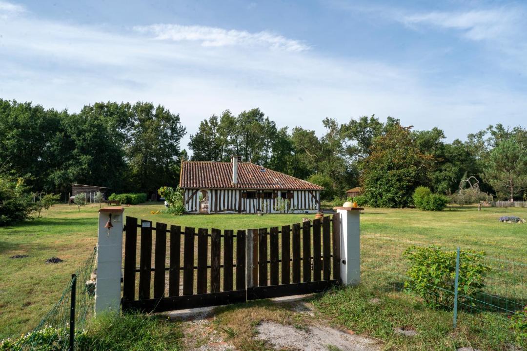 Photo of Others in Callen