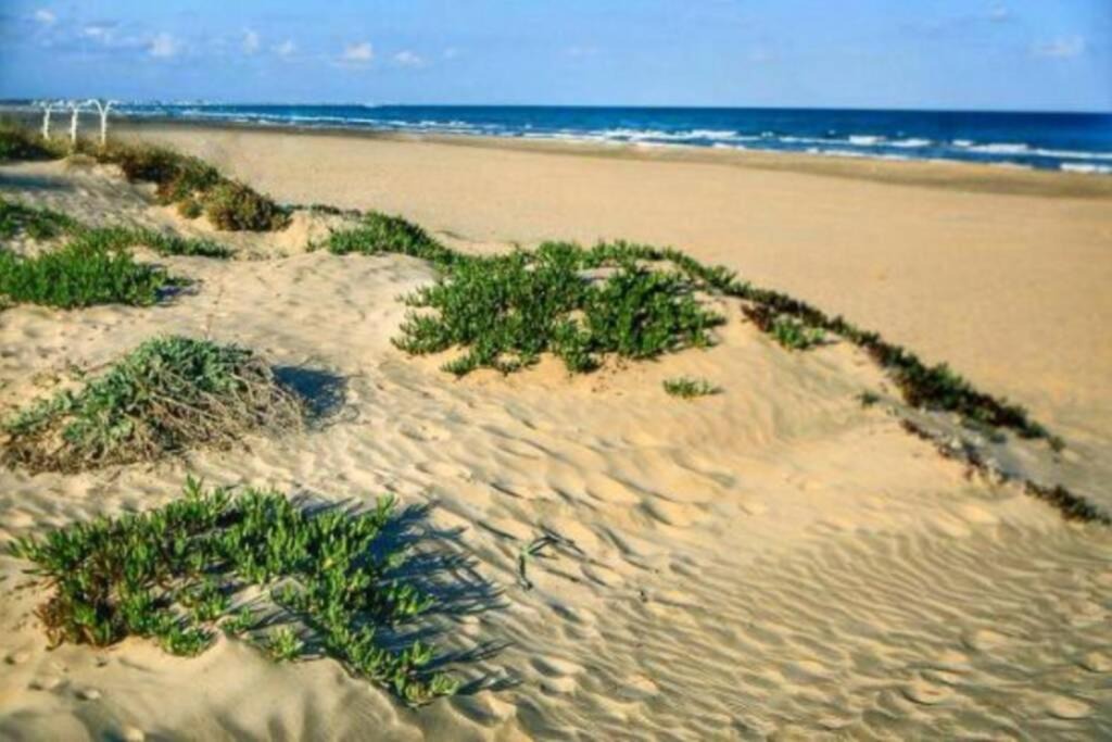 Photo of Others in Canet de Berenguer