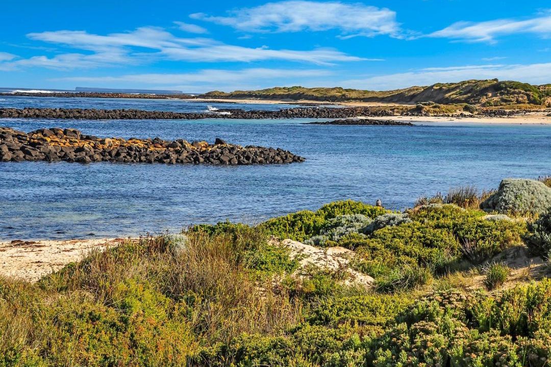 Photo of Others in Port Fairy