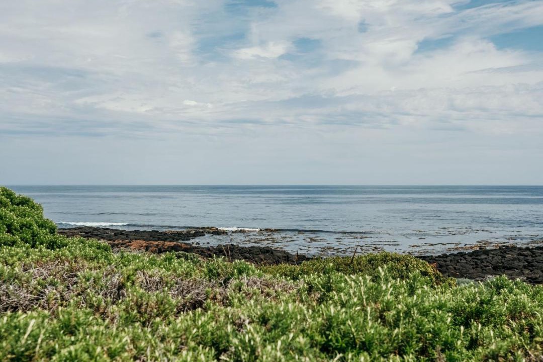 Photo of Others in Port Fairy