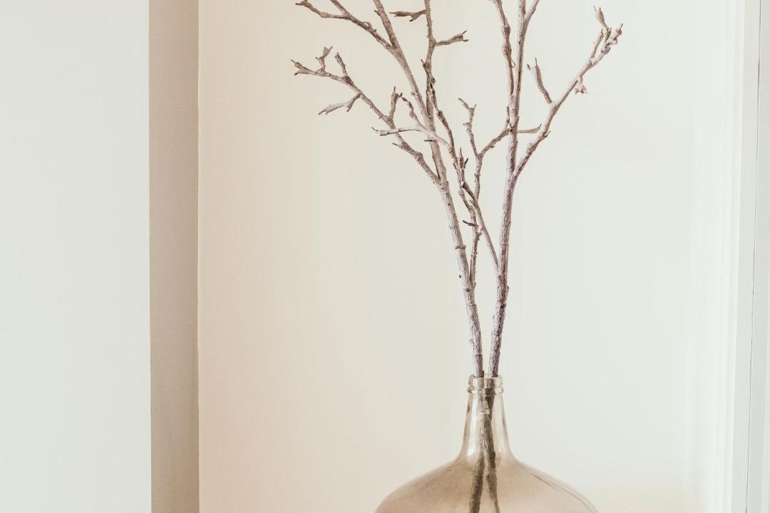 Photo of Others in Port Fairy