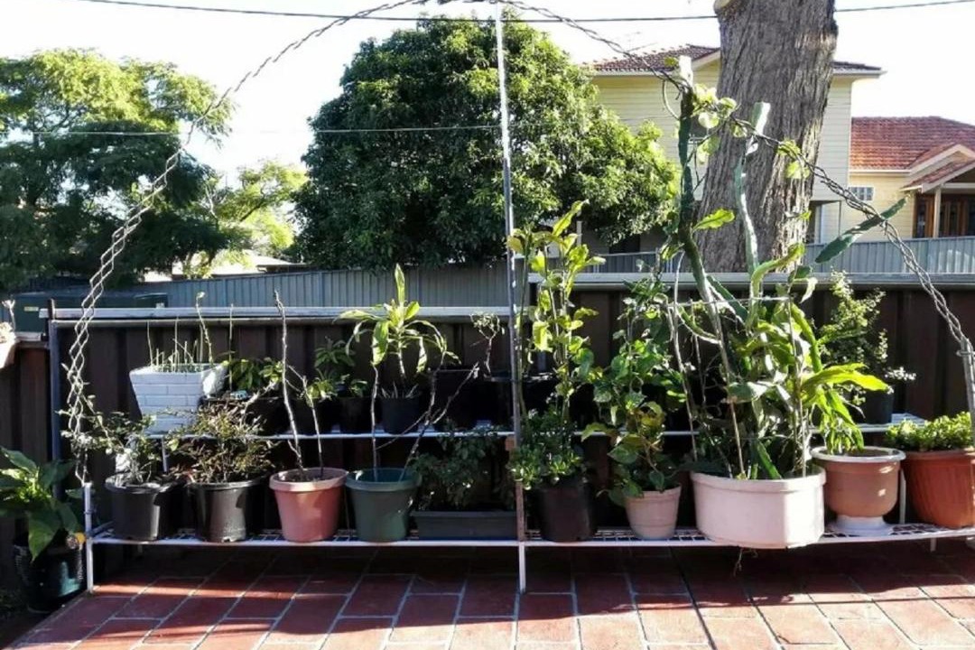 Photo of Others in Villars-les-Dombes